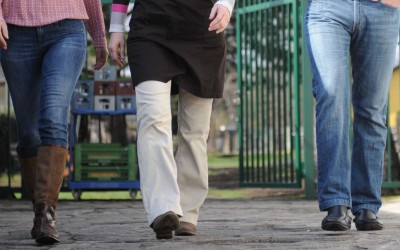 WIR GEHEN ONLINE! – Neue WEBSITE bio-WITTNER!!